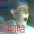 小白