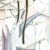 郎中