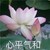 數(shù)學(xué)老師