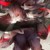 腾蛇