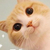 万能人