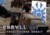 Daryll