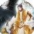 花黎（太子）