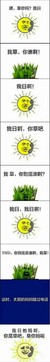 刘涵羽