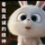 作者大大