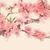 系統(tǒng)