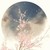 花痴2