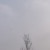 沫隽国