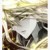 亡灵法师伊莱克斯