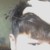 陈牧楠