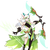 诺薇娅