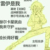 雷伊
