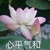 李兰茹