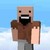 notch