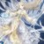星辰