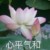 龍?zhí)?/>
                                <p>龍?zhí)?/p>
                            </a>
                        </div>
                    <a href=