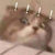 碼字狗本人