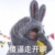 班主任