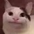 大猫妖