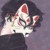 胡猫