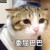 学生（男生）
