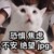作者
