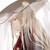 二师兄：银风尊