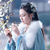 凤雪初