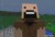 Notch