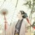 玉妃娘娘