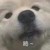 粉絲