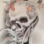 骷髅