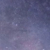 宗主