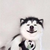 校长