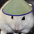 老鼠侍从