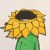 孫九芳