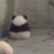 院長