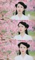 灵帝（白夭夭）