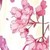 花芯