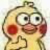 君君的君籽儿（网友）