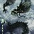 西海龙王