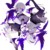 黑言