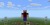 Notch
