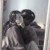 男主妈妈