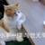 众人