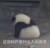 數(shù)學(xué)老師
