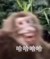 啥也不是.