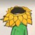 孫九芳