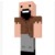 notch
