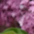 同学3